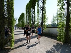 Spargellauf Schwetzingen 2018