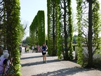 Spargellauf Schwetzingen 2018